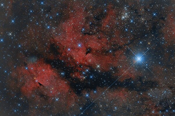 IC 1318 - Sadr Region