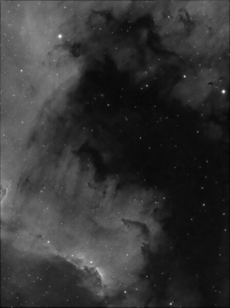 NGC 7000 Ha