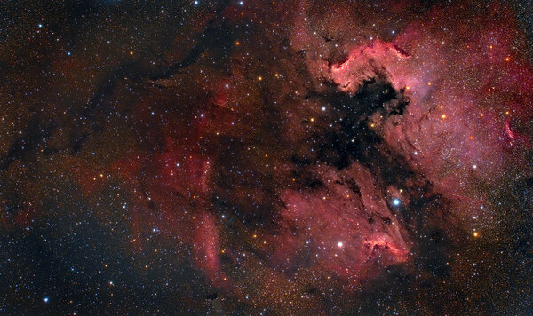 The North America Nebula (ngc 7000 Or Caldwell 20)