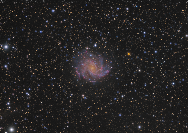 Ngc 6946 - The ''fireworks Galaxy''