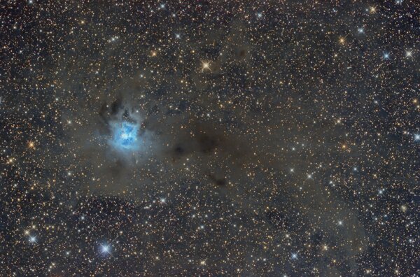 Ngc 7023 - Iris Nebula