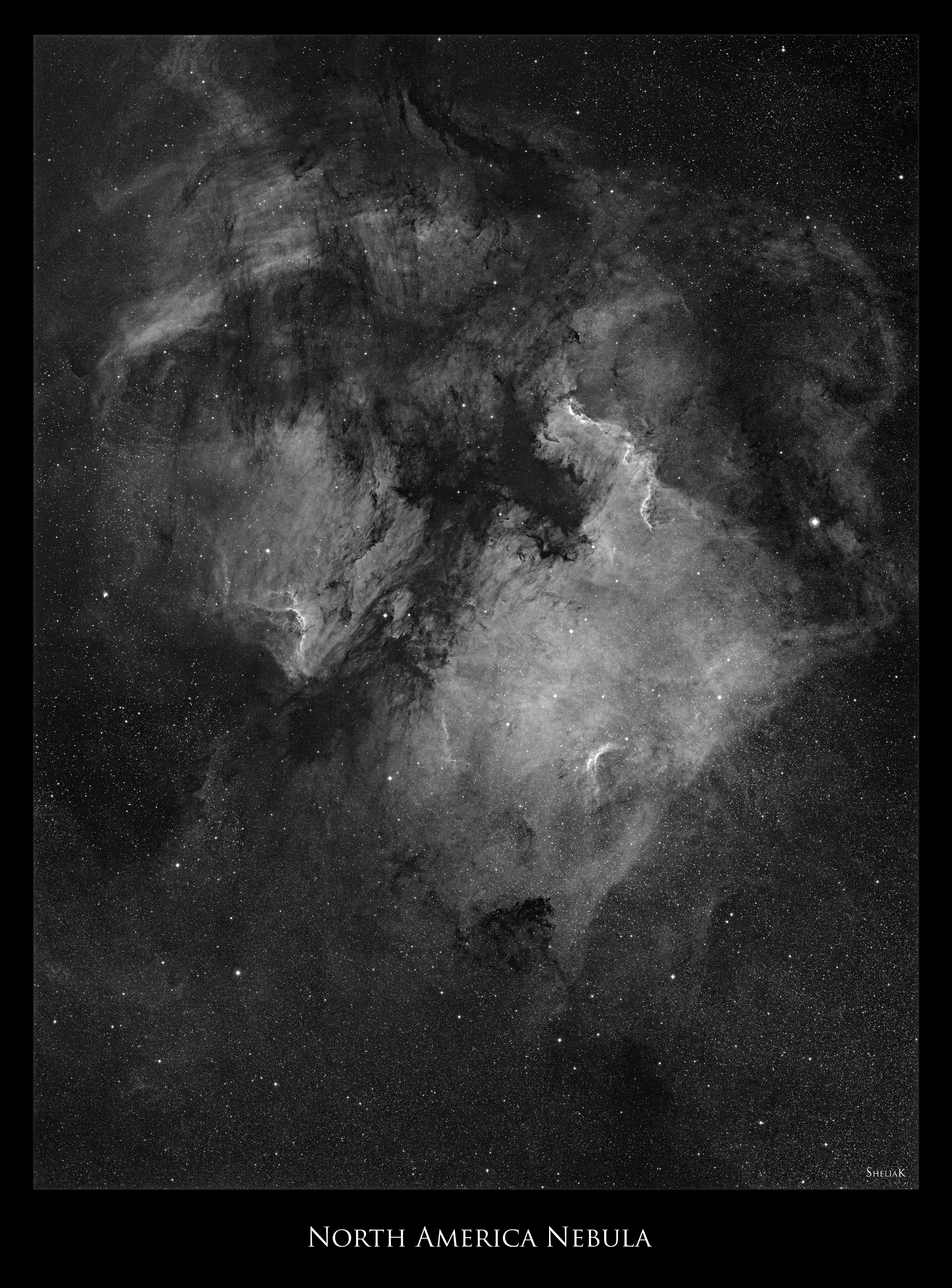 Ngc 7000 - North America Nebula - Mosaic