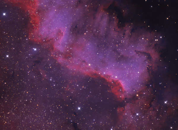 Ngc 7000: The Cygnus Wall