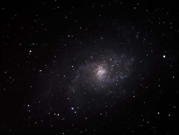 M33