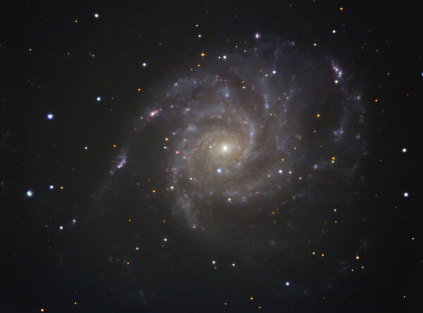 M 101