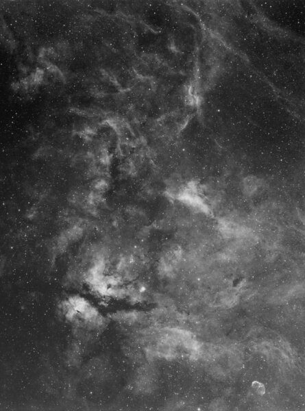 Ic 1318