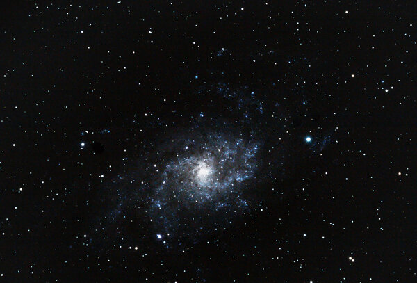 M33