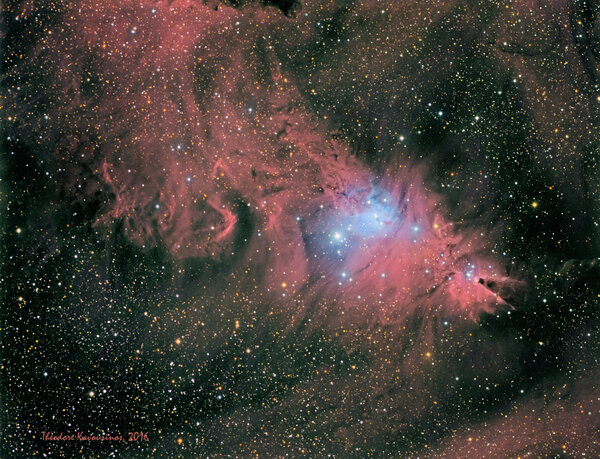 The Christmas Tree Cluster And The Cone Nebula