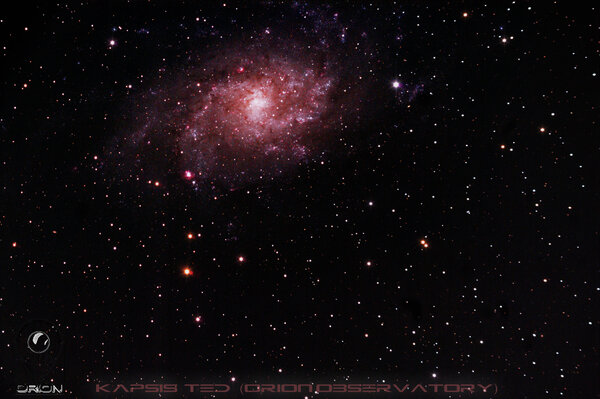 M33