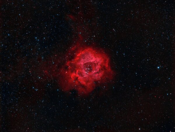 Rosette Nebula - Biocolor