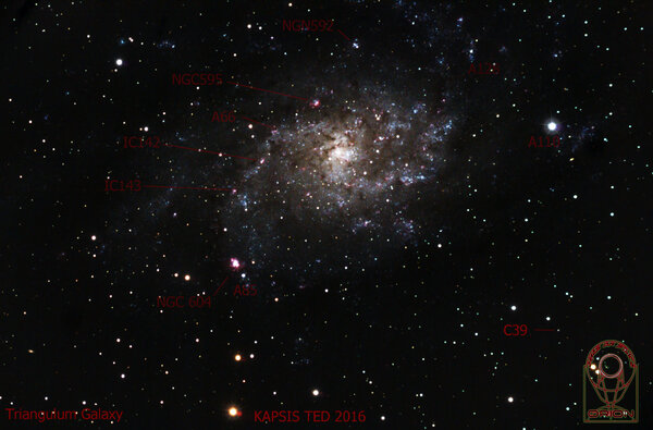 M33 Reedit