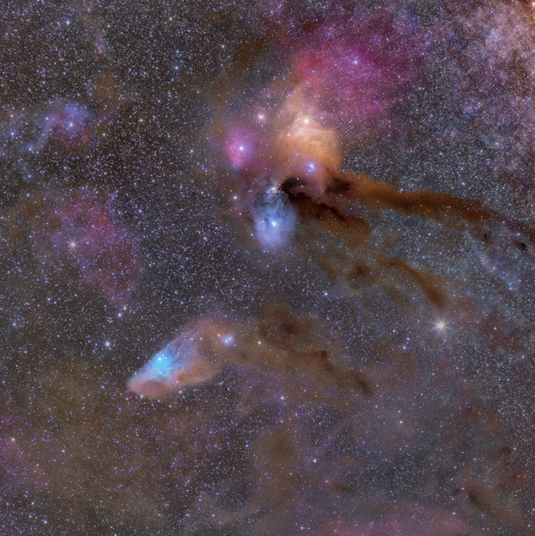 Rho Ophiuchi Complex (4 Panel Mosaic)