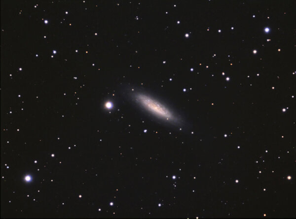 Ngc 6503