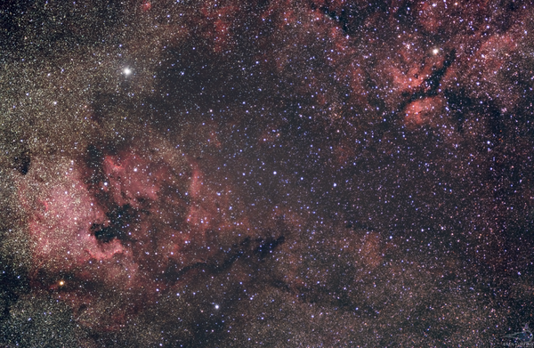 Ngc7000 & Friends