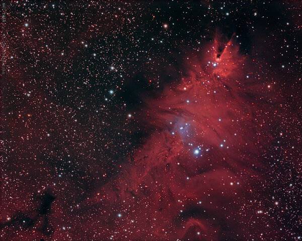 Περισσότερες πληροφορίες για το "Ngc 2264 Cone Nebula"