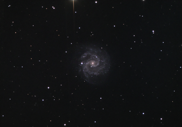 Ngc3184