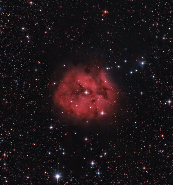 Cocoon Nebula