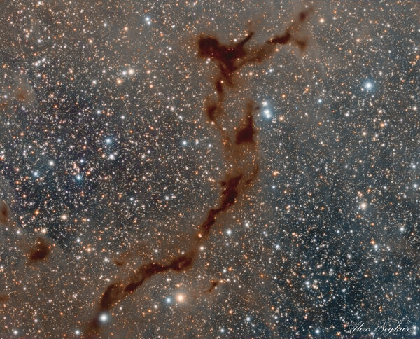 Περισσότερες πληροφορίες για το "Barnard 150 (seahorse Nebula)"