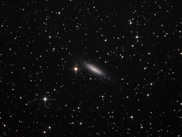 lost-in-space Galaxy, Ngc6503