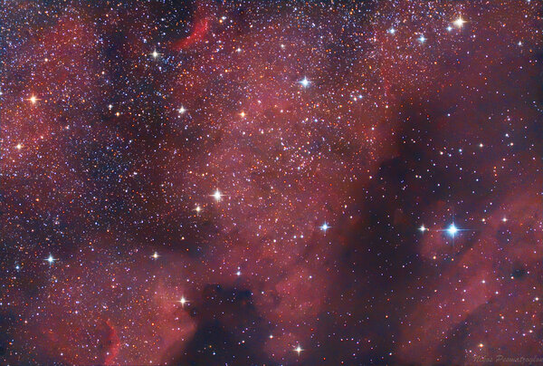 Νεφέλωμα την Βόρειας Αμερικής, Ngc 7000