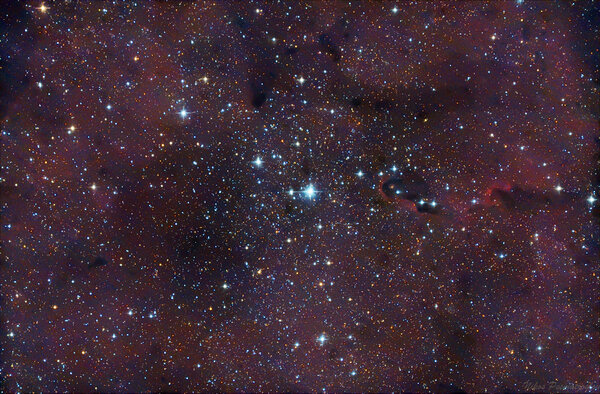 Ic 1396 - Elephant Trunk