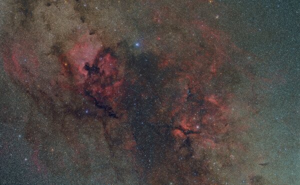 Cygnus 4 Panel Mosaic