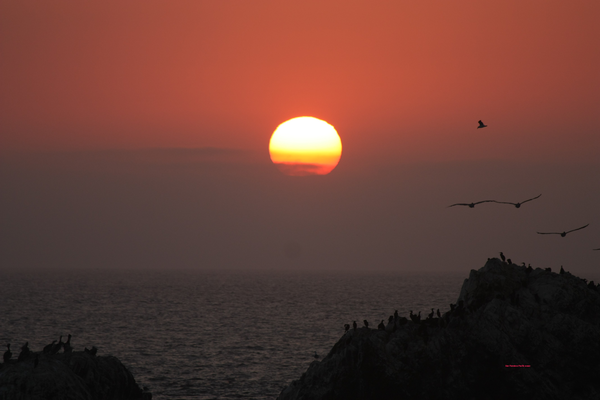 San Francisco Pacific Ocean Ηλιοβασίλεμα