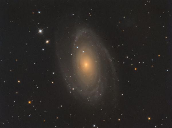 M81 Bode''s Galaxy