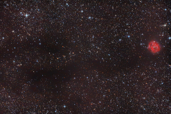 Ic 5146 (caldwell 19, Sh 2-125) Cocoon Nebula