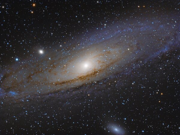 M31