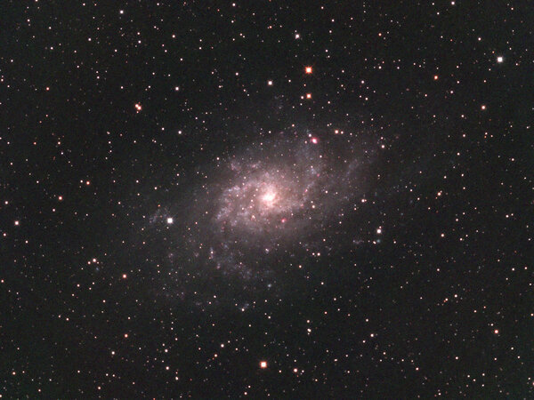 M33