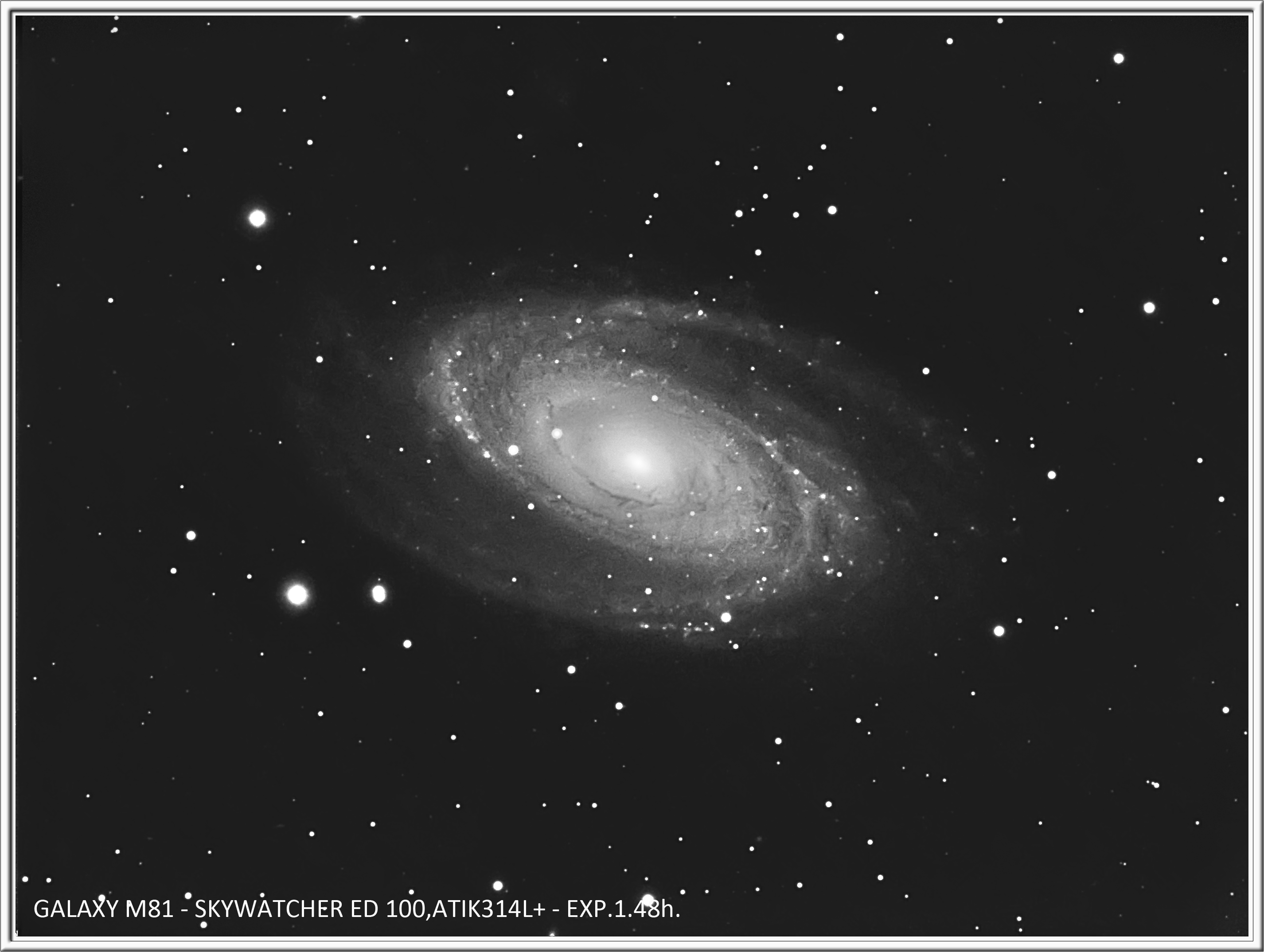 M81 Luminance