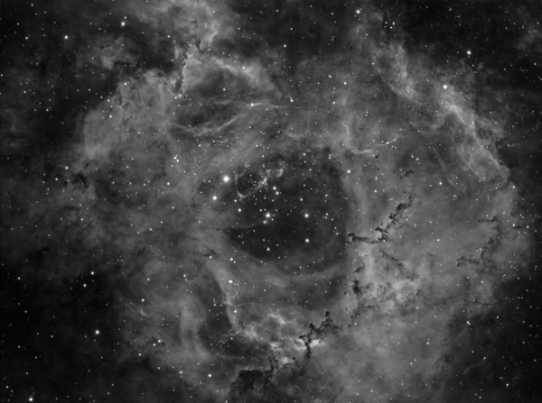 Ngc-2238 Rosette Nebula In Ha