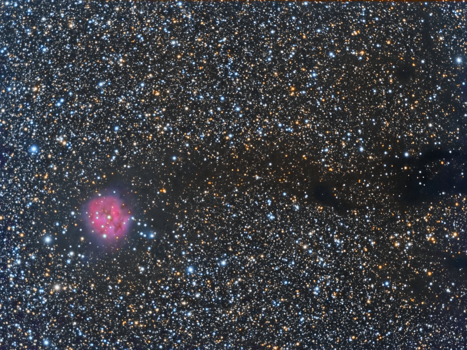 Cocoon Nebula Wide Field