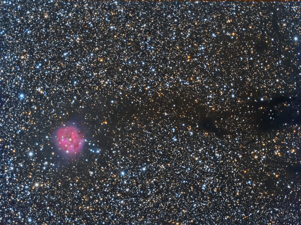 Cocoon Nebula Wide Field