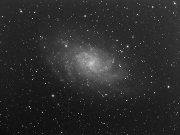 M33