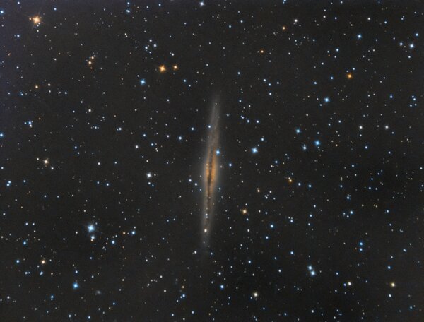 Ngc 891 Galaxy