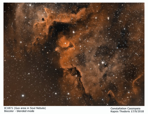 Ic1871 Biocolor Blended Mode