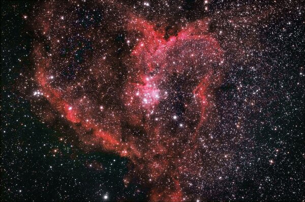 Heart Nebula