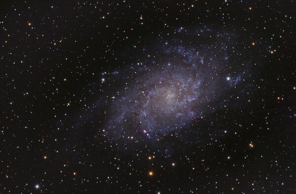 M 33