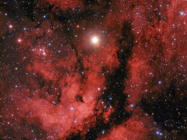 Ic1318 (sadr, Ngc6910, Ldn889)