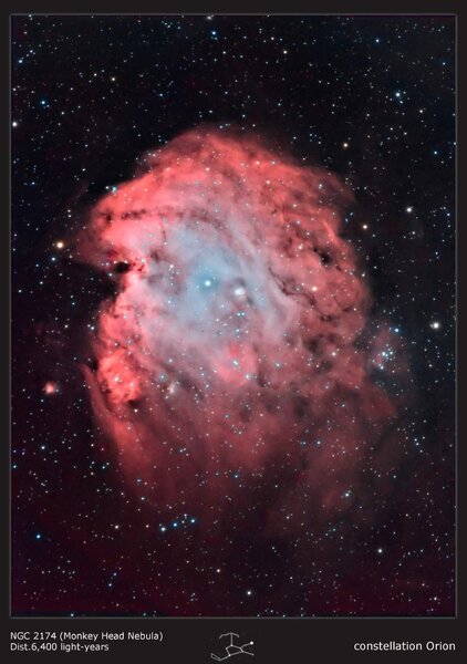 Monkey Head Nebula