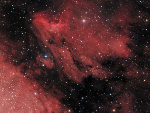 Ic5070 Pelican Nebula