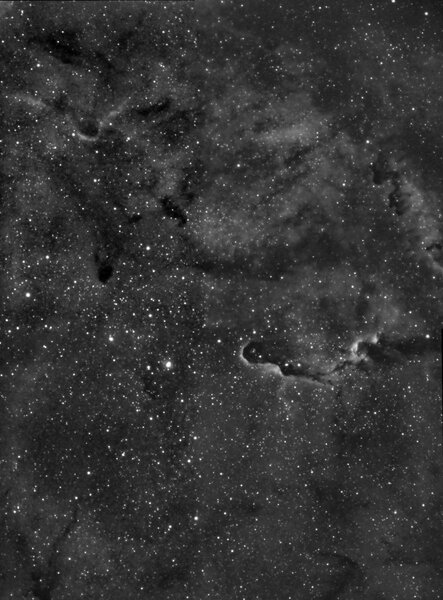 Ic 1396-elephant''s Trunk -reprocessed