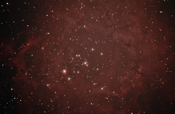Ngc 2244 (rosette Nebula)