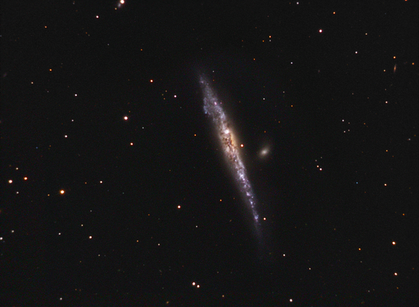 Περισσότερες πληροφορίες για το "Ngc 4631 \"whale Galaxy\""