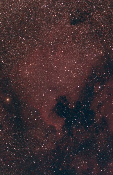 The North America Nebula