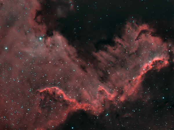 Ngc 7000 - Part