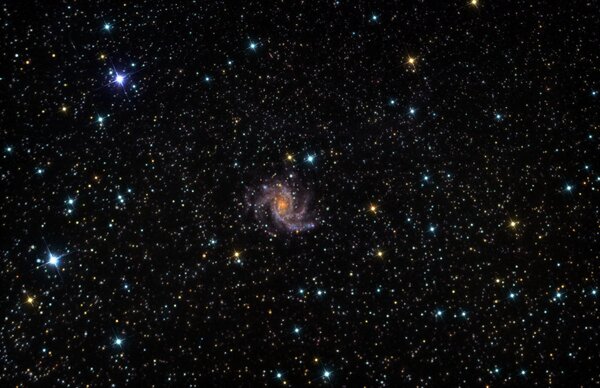 Περισσότερες πληροφορίες για το "Ngc 6946 - Fireworks Galaxy"