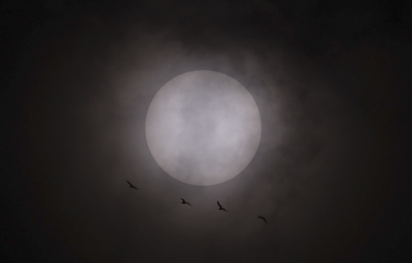 Mercury Suntransit 2019